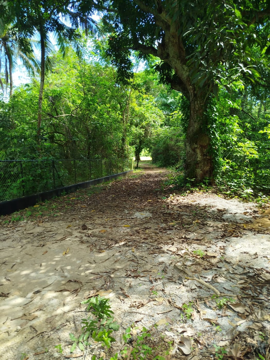 TERRENO EN VENTA EN LAS TERRENAS SAMANÁ – foto 1