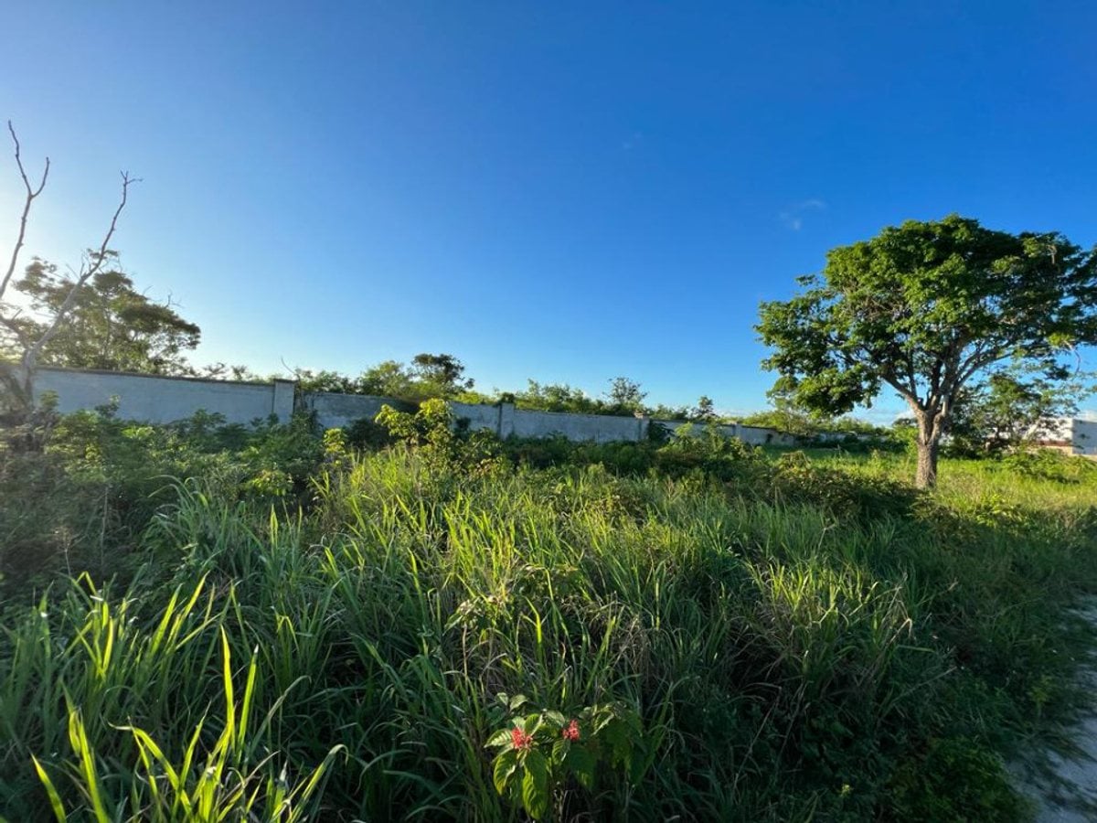TERRENO EN RESIDENCIAL BAVARO PUNTA CANA – foto 3