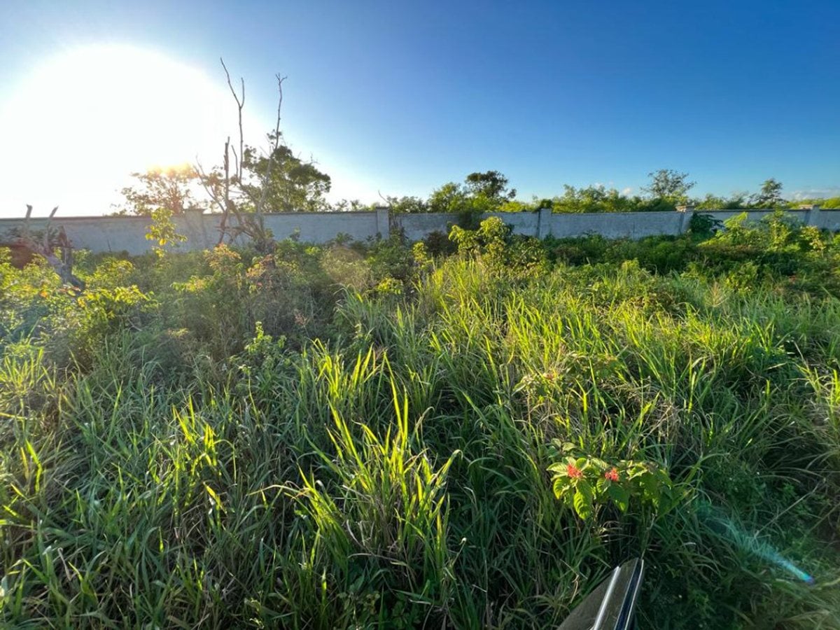 TERRENO EN RESIDENCIAL BAVARO PUNTA CANA – foto 2