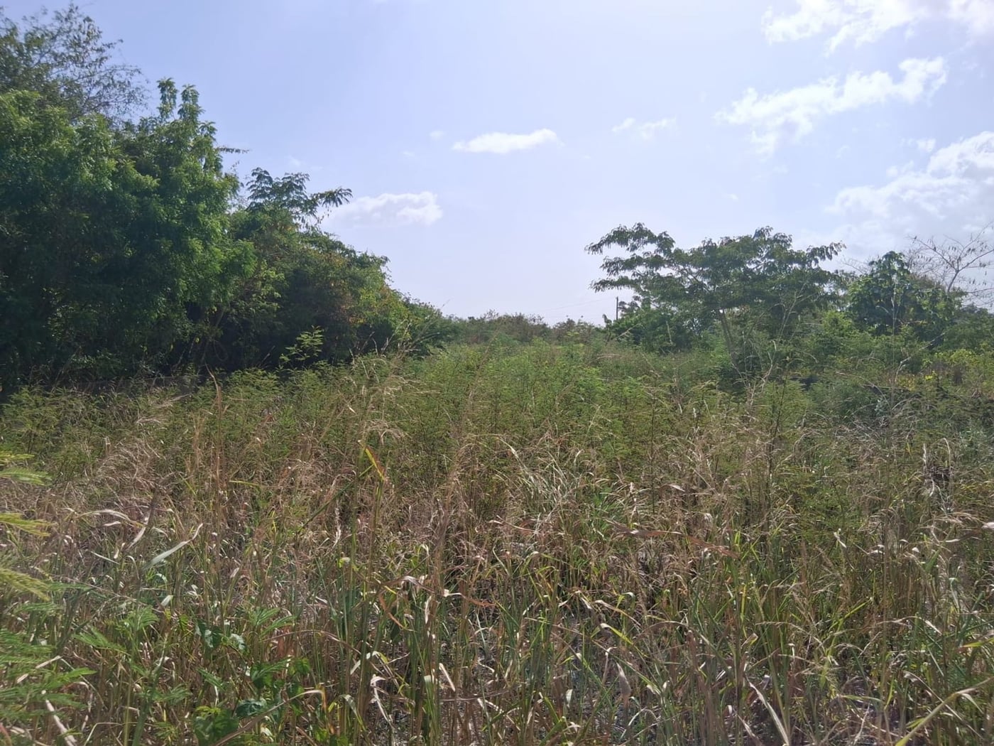 Terreno en Prado del Este .Santo Domingo Este – foto 4