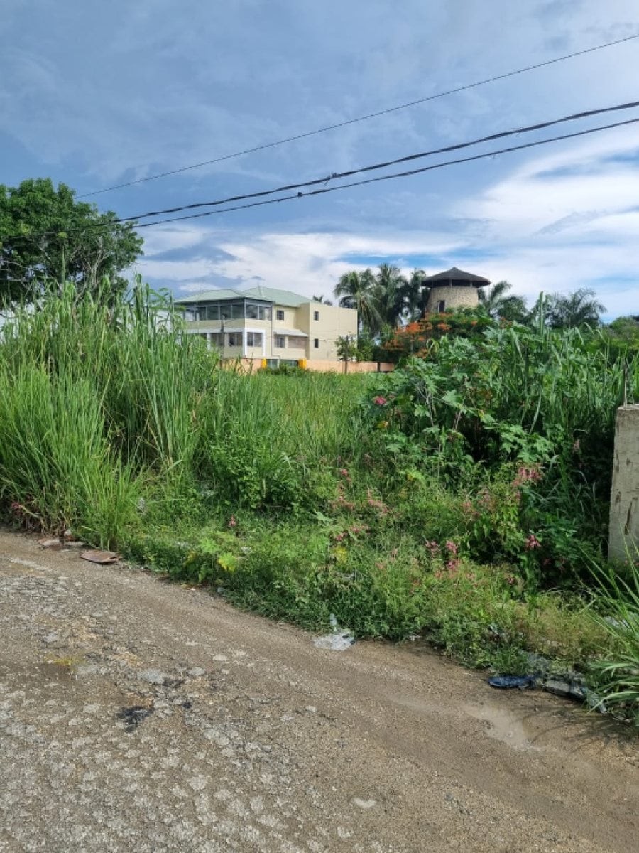 Terreno en venta en Boca Chica – foto 3