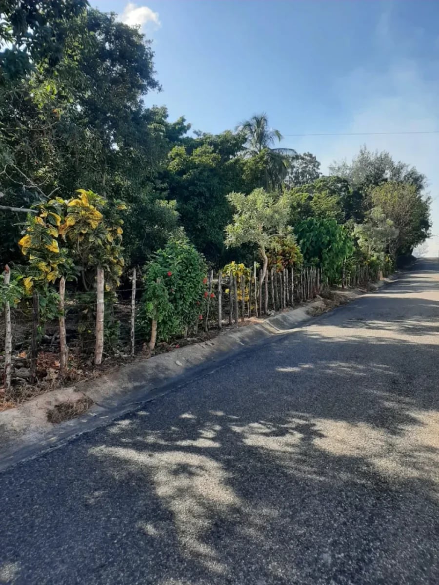 Terreno de 13,893 m² en venta en San Gregorio de Nigua – foto 5