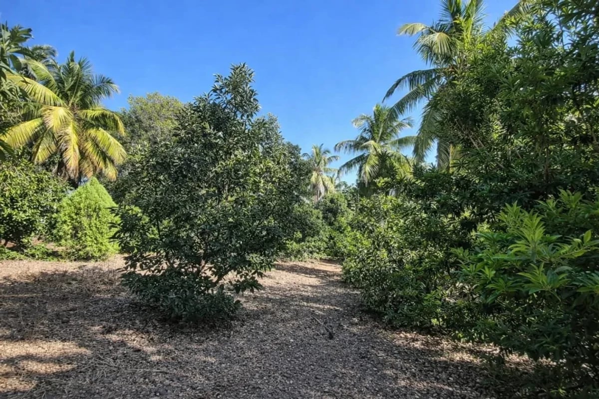 Terreno de 13,893 m² en venta en San Gregorio de Nigua – foto 6