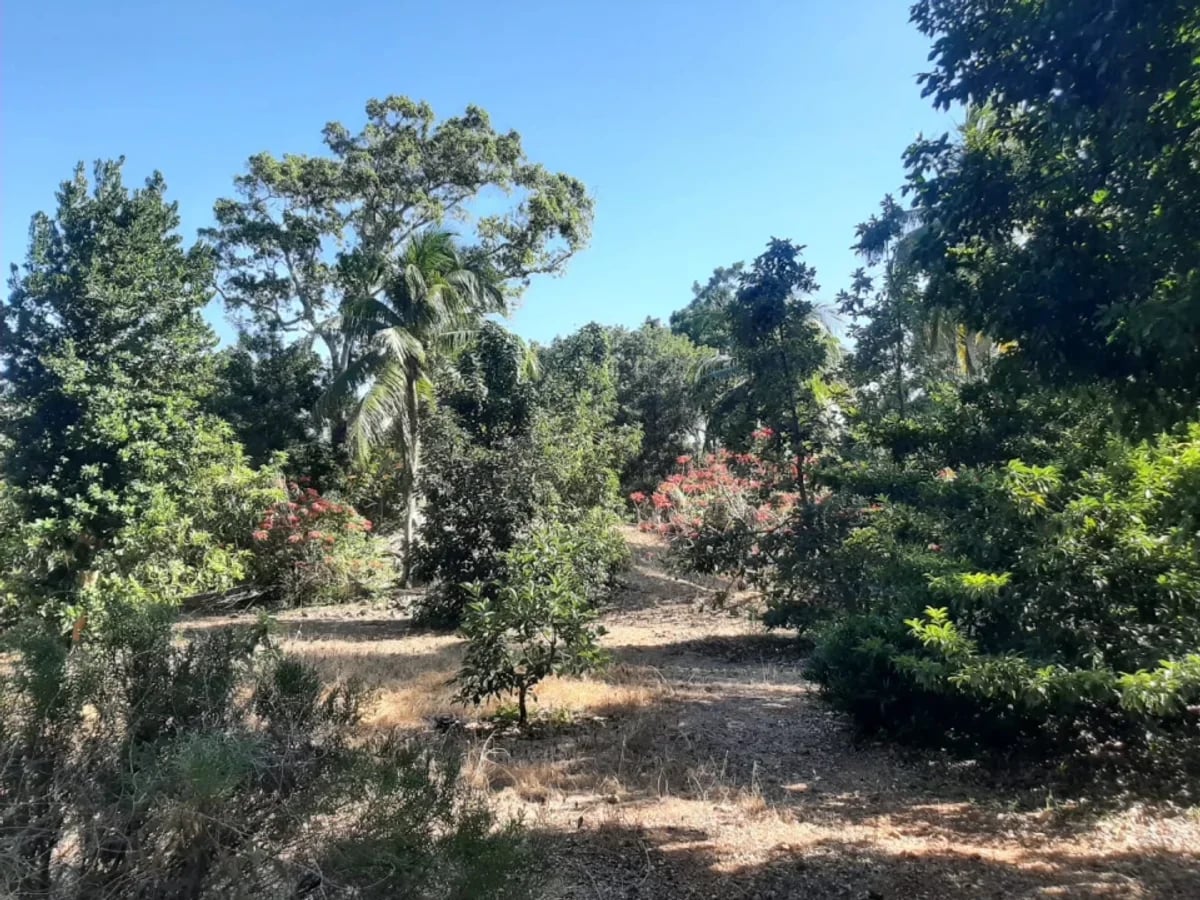 Terreno de 13,893 m² en venta en San Gregorio de Nigua – foto 3