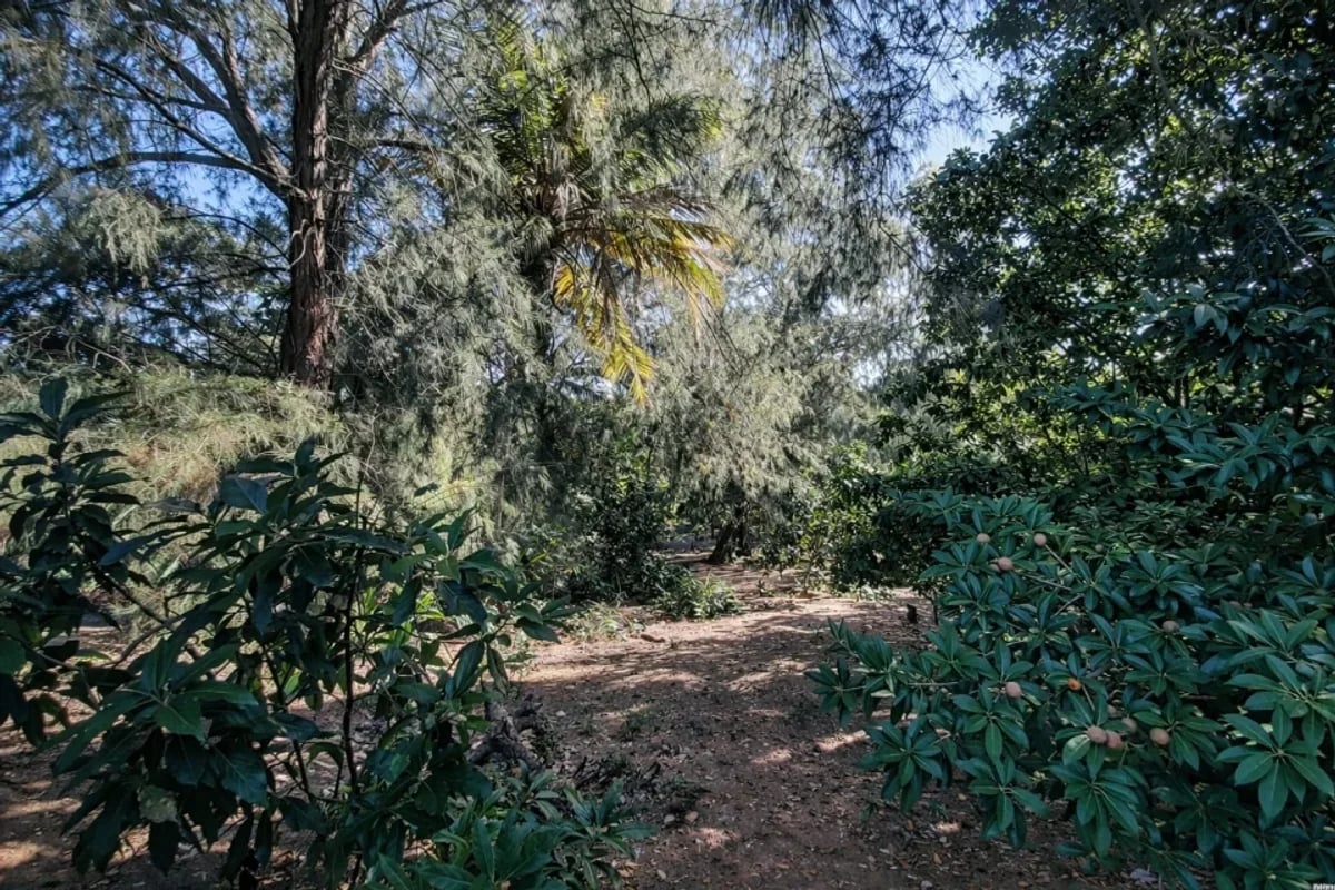 Terreno de 13,893 m² en venta en San Gregorio de Nigua – foto 7