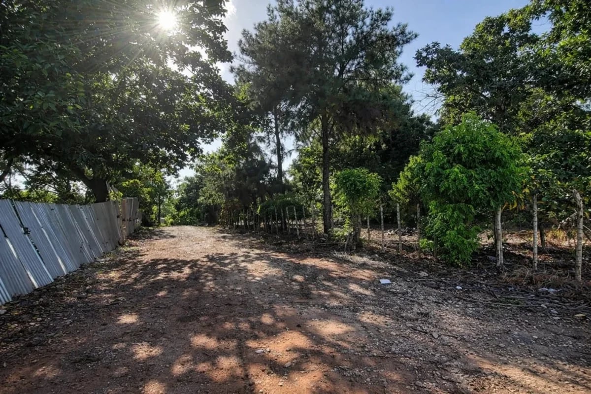 Terreno de 13,893 m² en venta en San Gregorio de Nigua – foto 8