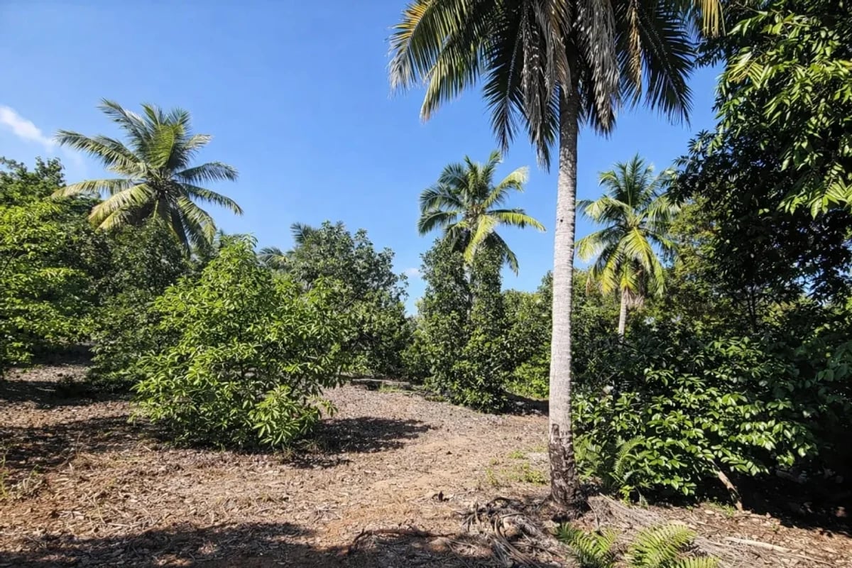 Terreno de 13,893 m² en venta en San Gregorio de Nigua – foto 4
