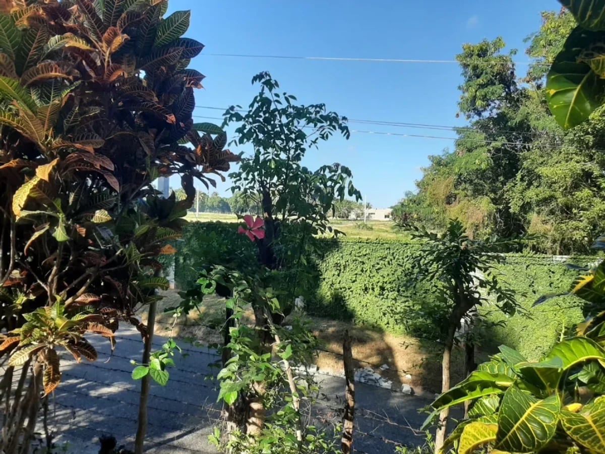 Terreno de 13,893 m² en venta en San Gregorio de Nigua – foto 2