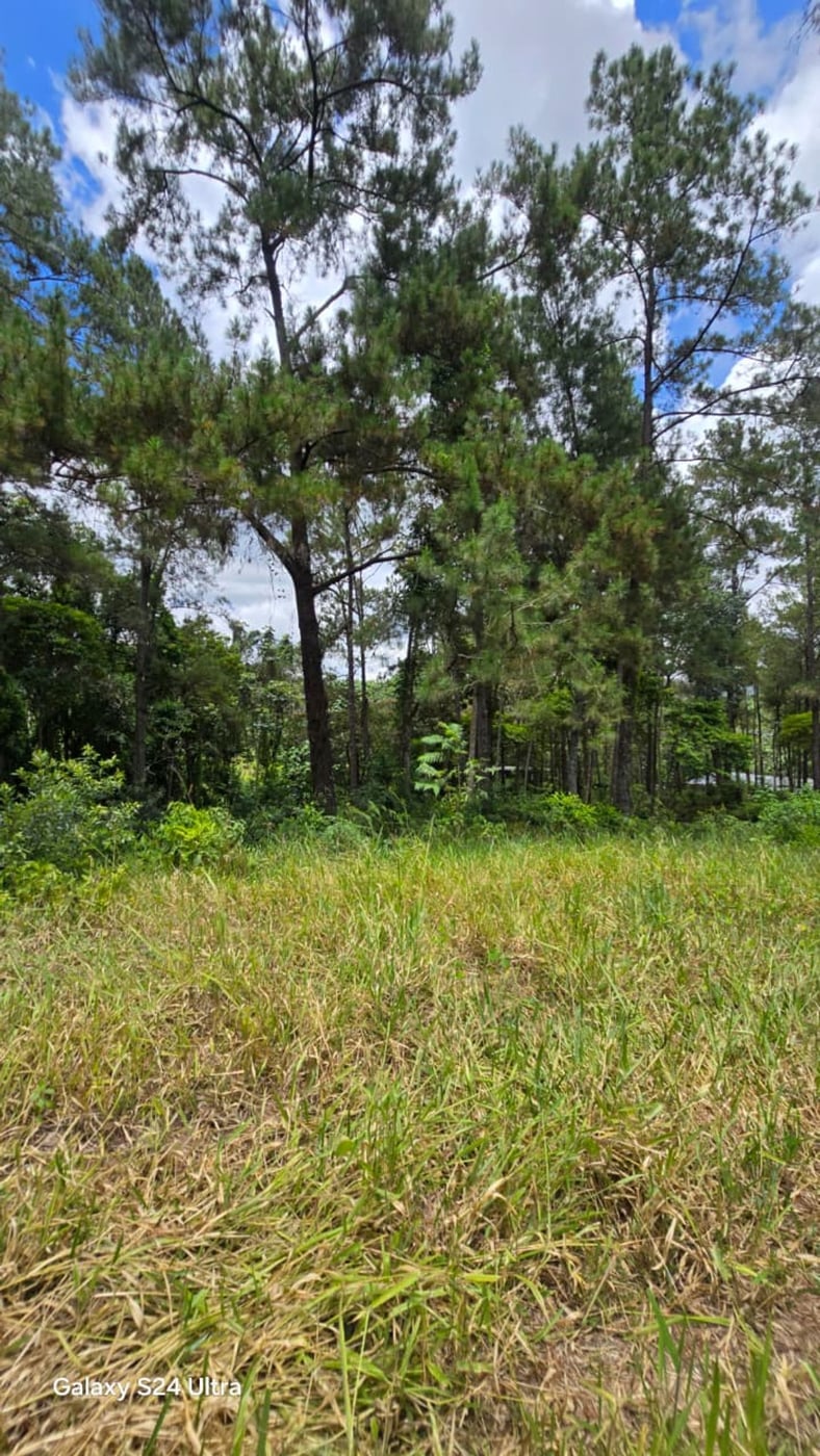 Terreno en Jarabacoa – foto 7