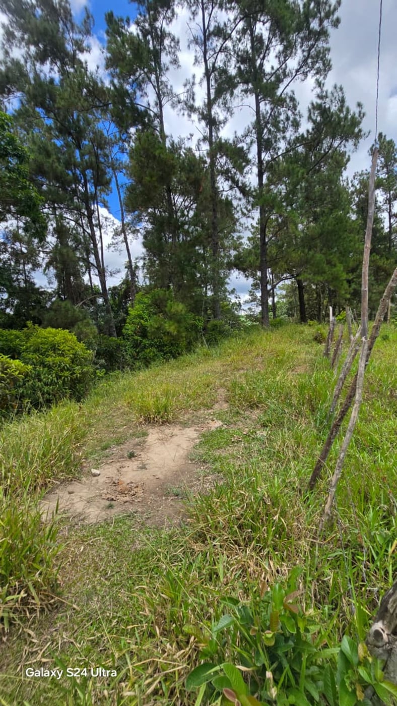 Terreno en Jarabacoa – foto 12