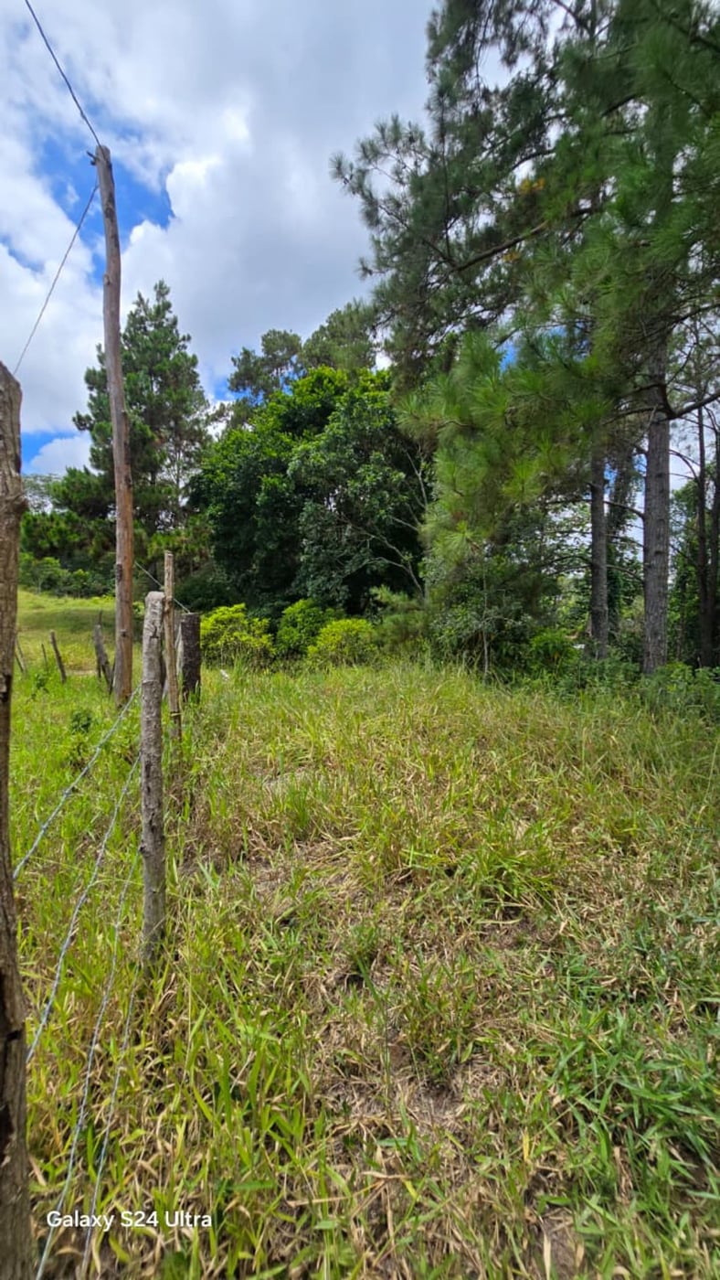 Terreno en Jarabacoa – foto 3