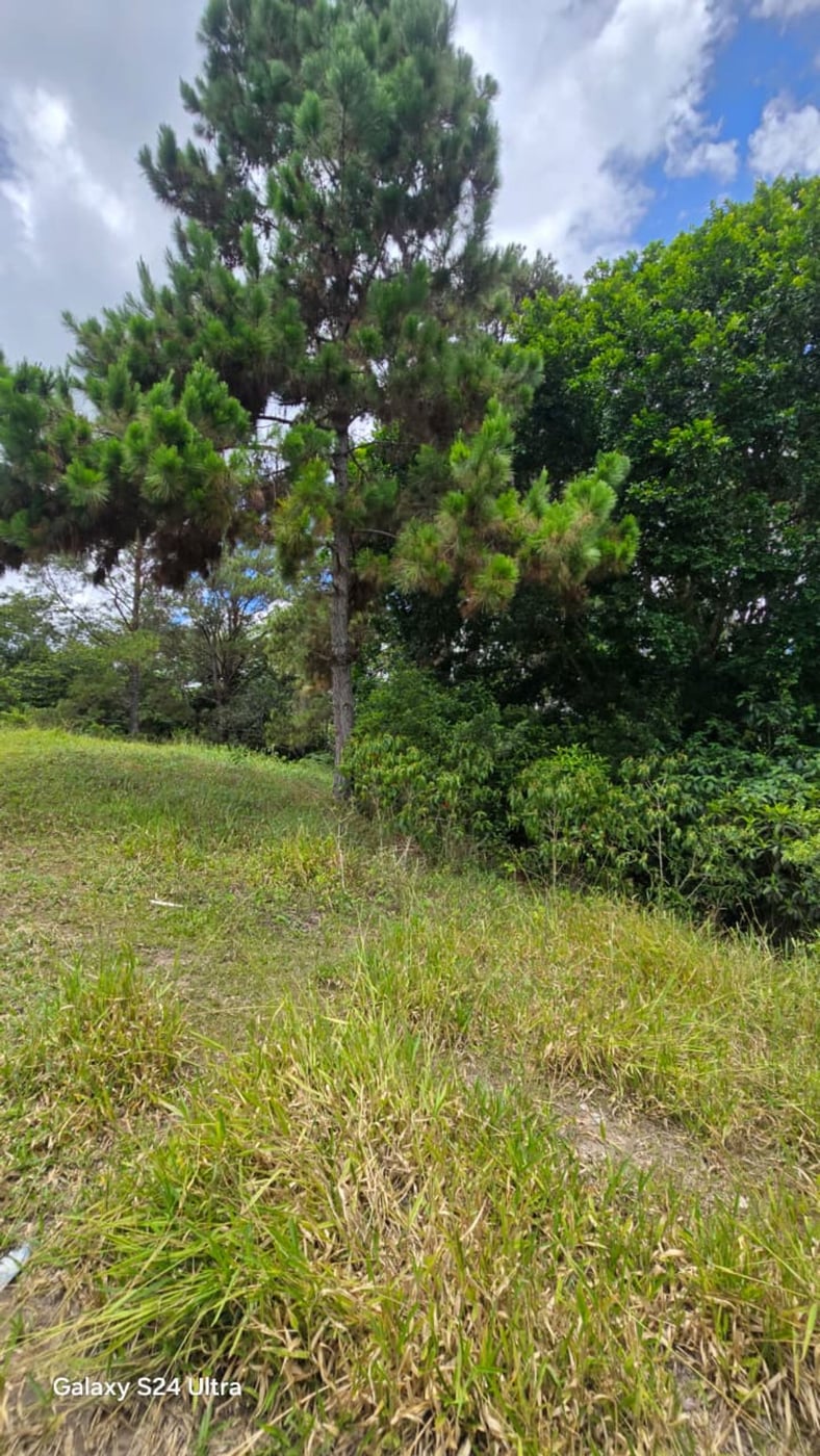 Terreno en Jarabacoa – foto 8