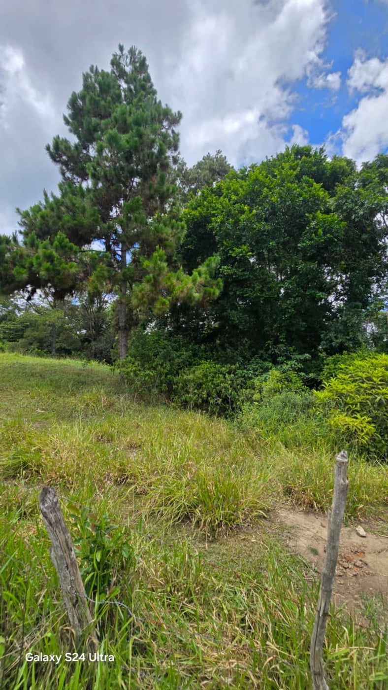 Terreno en Jarabacoa – foto 2