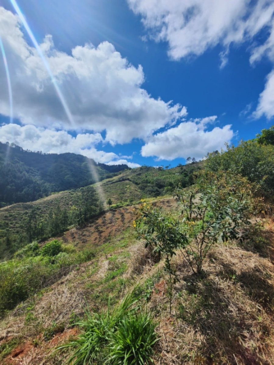 Terreno en Venta en Tatón, San José de Ocoa – foto 9
