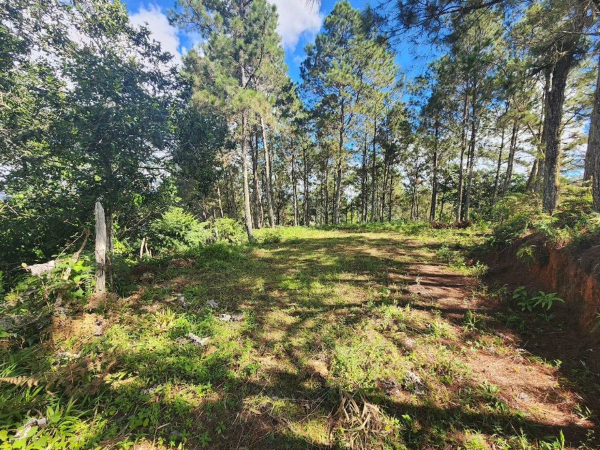 Terreno en Venta en Tatón, San José de Ocoa – foto 5