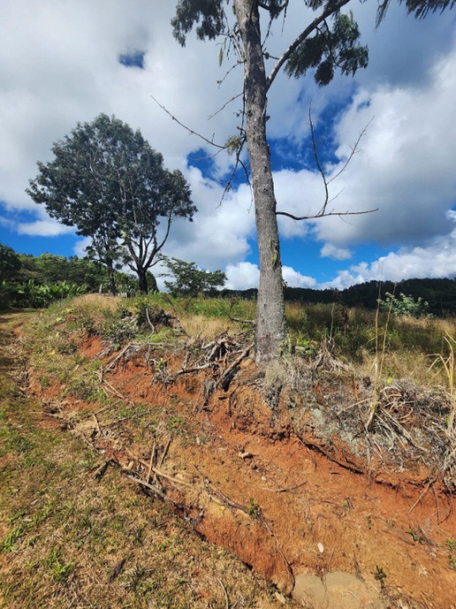 Terreno en Venta en Tatón, San José de Ocoa – foto 11