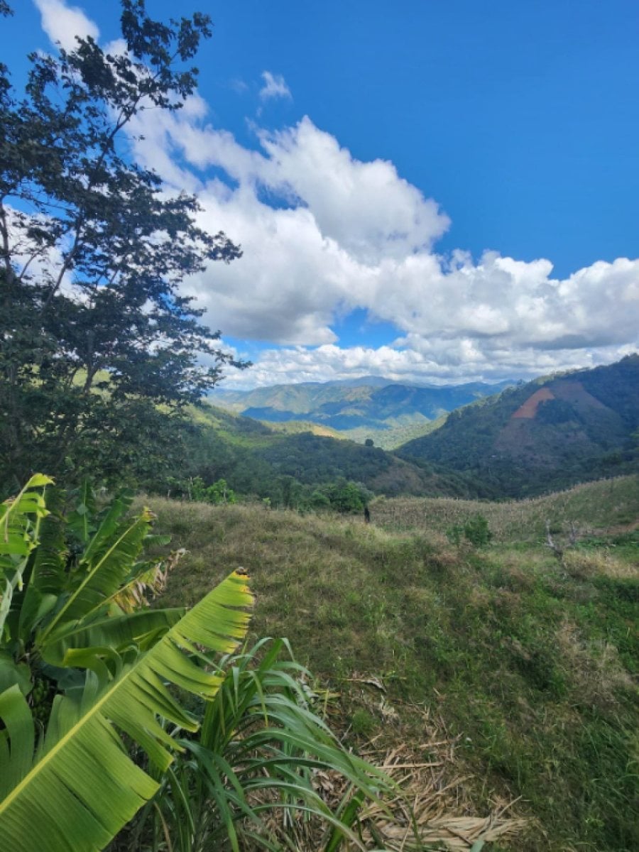 Terreno en Venta en Tatón, San José de Ocoa – foto 7