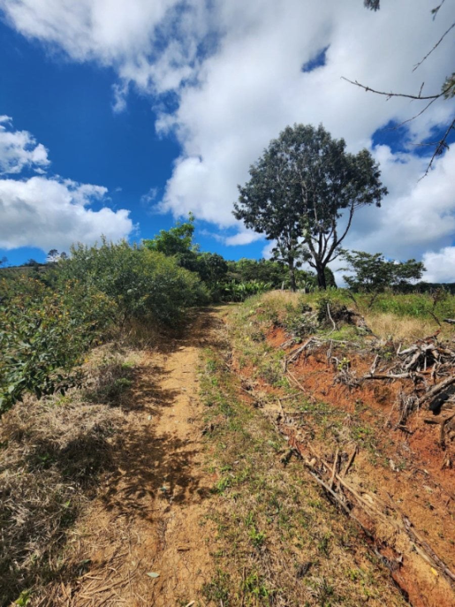 Terreno en Venta en Tatón, San José de Ocoa – foto 3