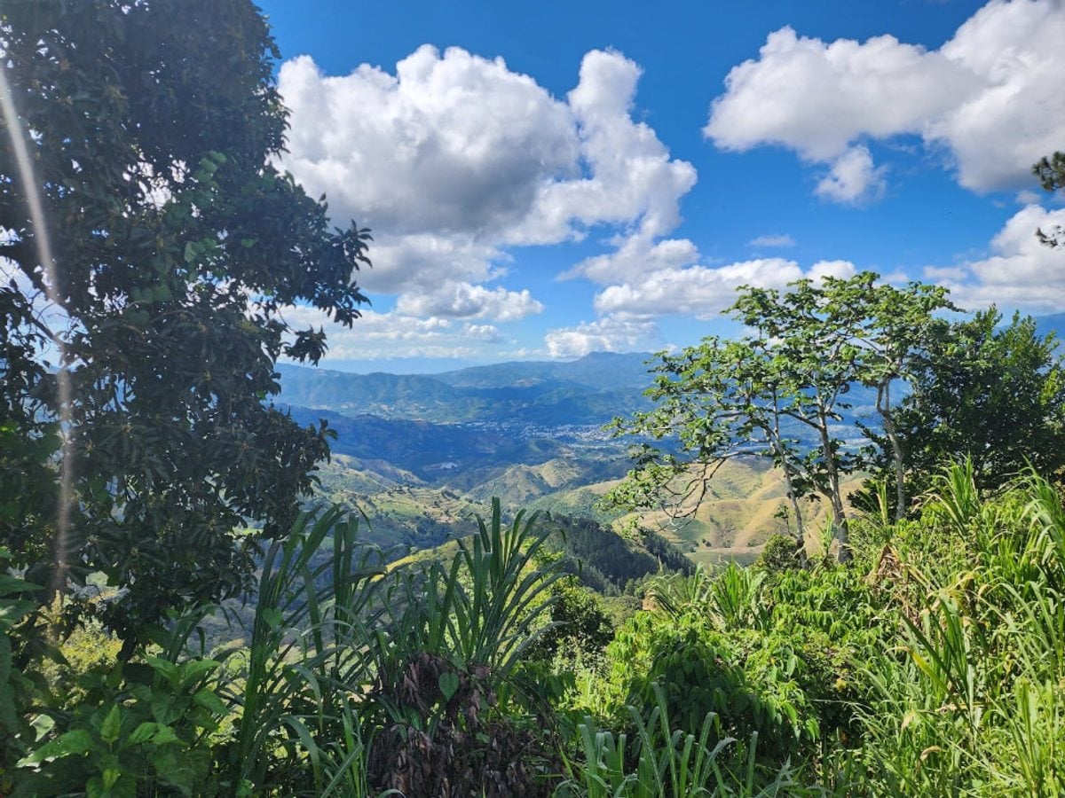 Terreno en Venta en Tatón, San José de Ocoa – foto 4