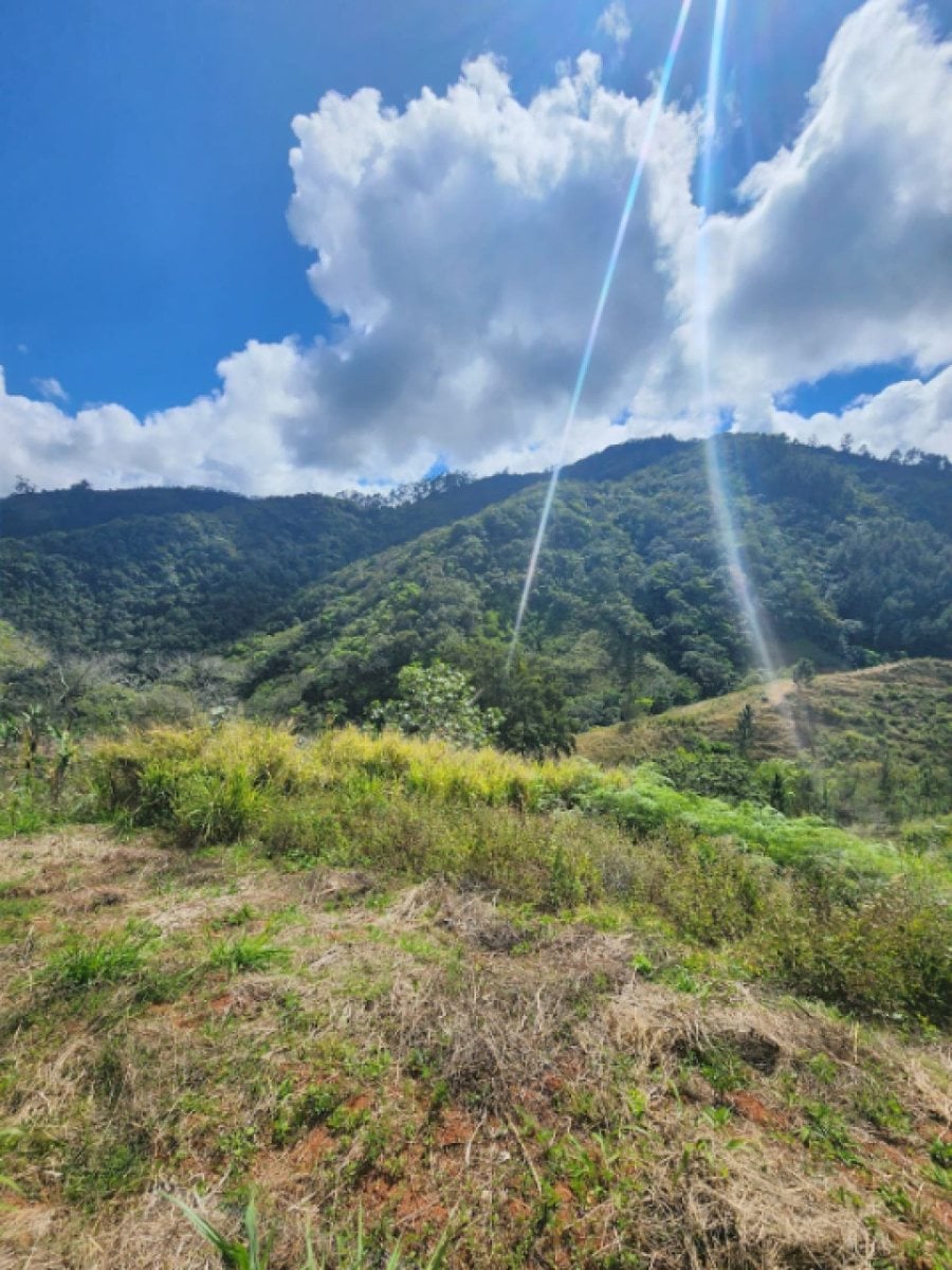 Terreno en Venta en Tatón, San José de Ocoa – foto 10