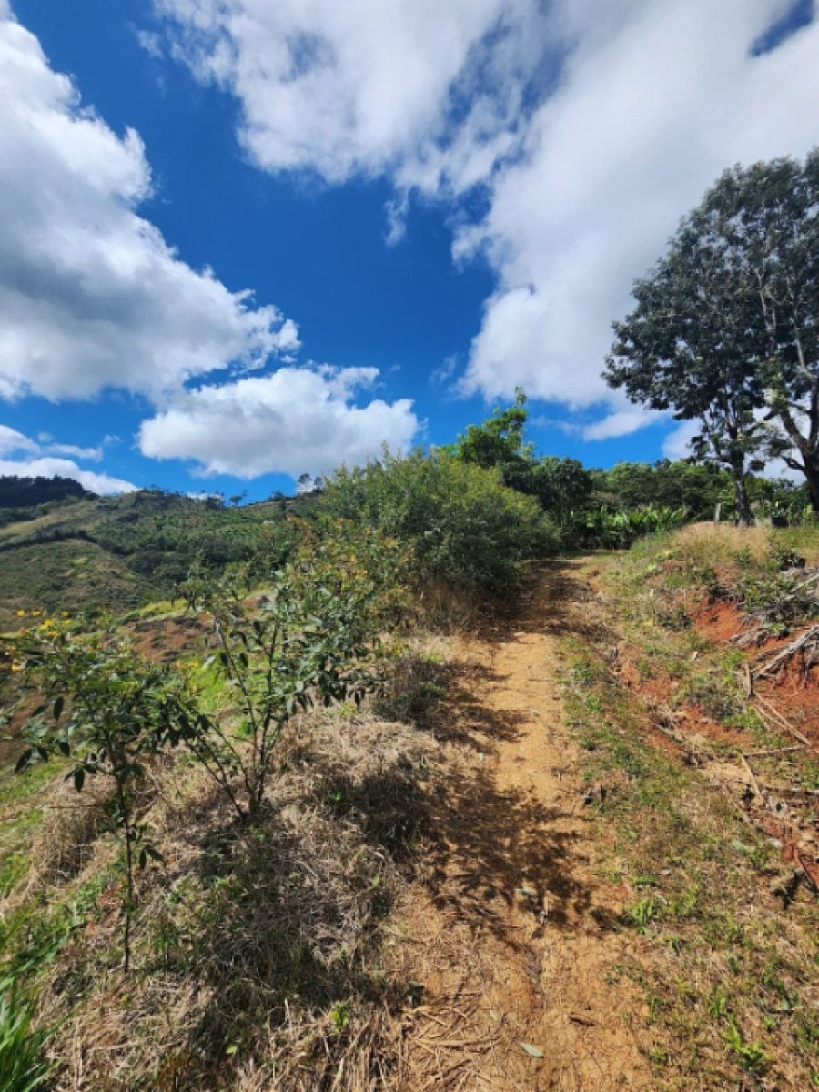 Terreno en Venta en Tatón, San José de Ocoa – foto 6
