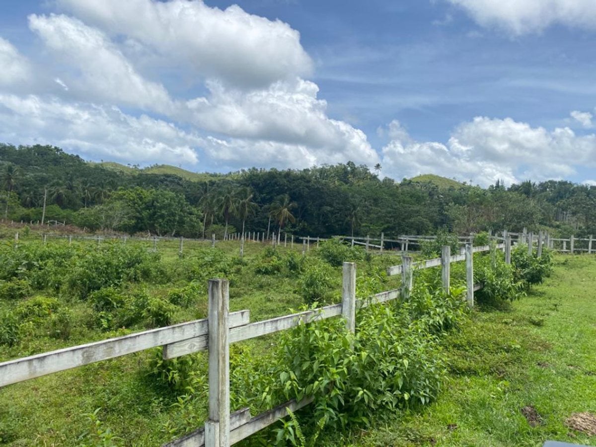 Terreno en Samaná Las Terrenas, Los Puentes – foto 1