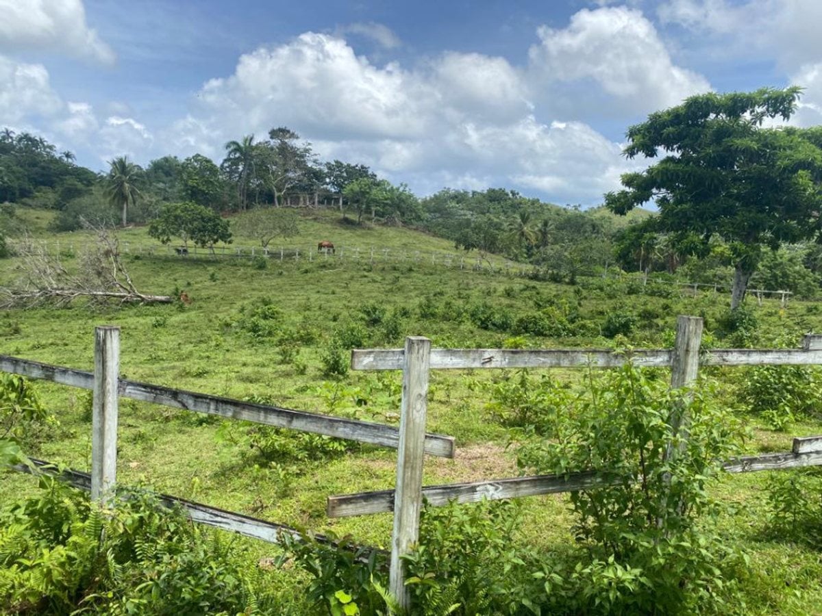 Terreno en Samaná Las Terrenas, Los Puentes – foto 6
