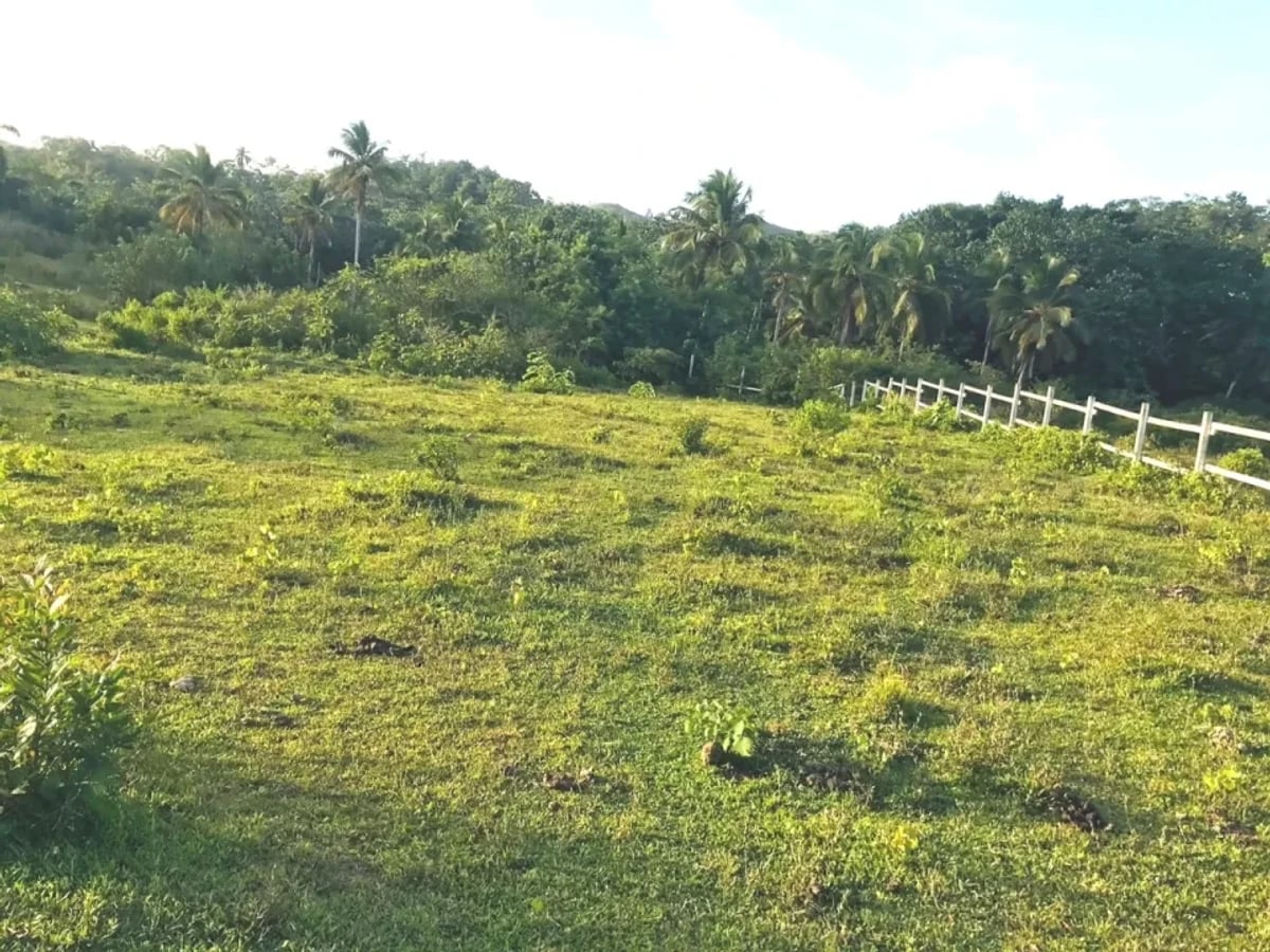 Terreno en Samaná Las Terrenas, Los Puentes – foto 12