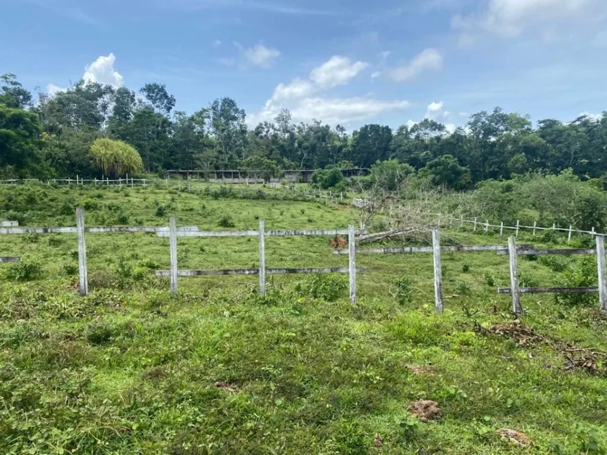 Terreno en Samaná Las Terrenas, Los Puentes – foto 2