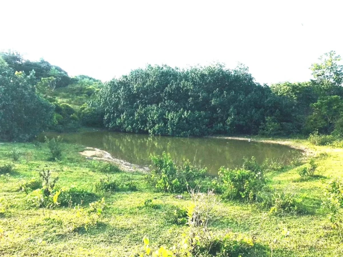 Terreno en Samaná Las Terrenas, Los Puentes – foto 8