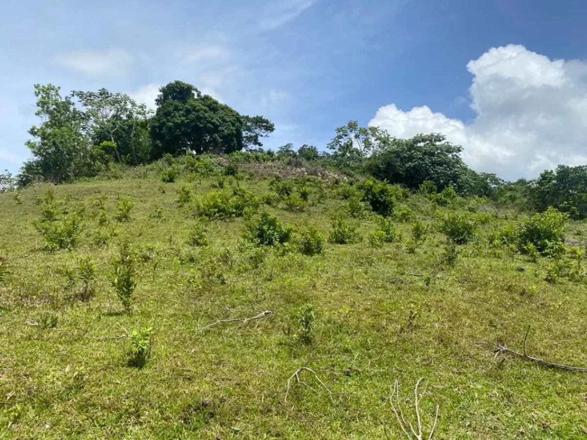 Terreno en Samaná Las Terrenas, Los Puentes – foto 5