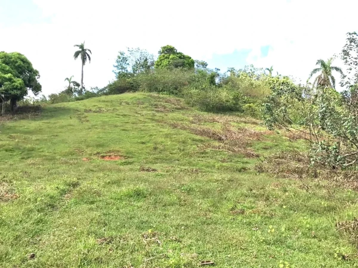Terreno en Samaná Las Terrenas, Los Puentes – foto 11