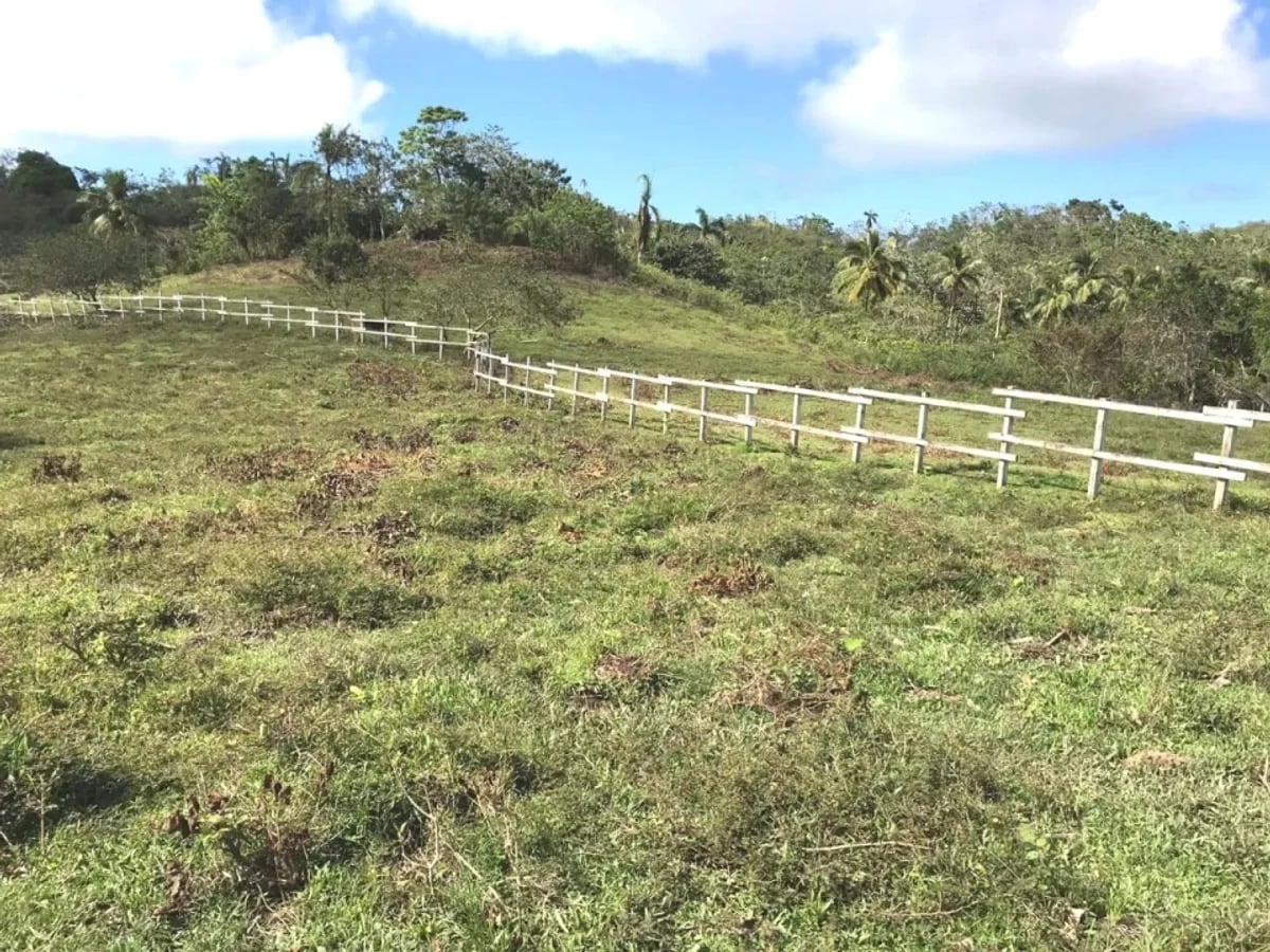 Terreno en Samaná Las Terrenas, Los Puentes – foto 10