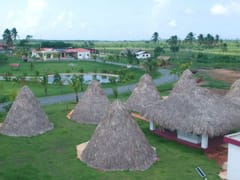 Finca en venta en Uvero Alto – foto 5