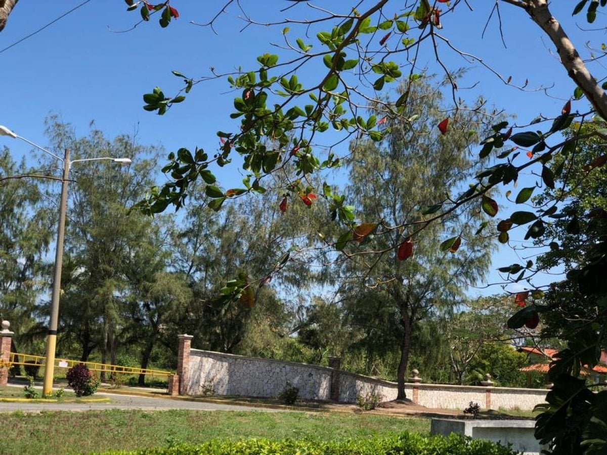 Terreno residencial en Guayacanes – foto 2