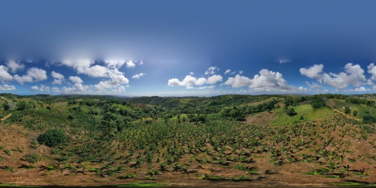 Terreno en Samaná, Juana Vicenta – foto 1