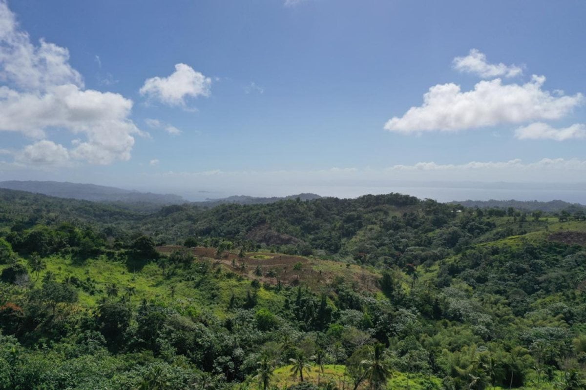 Terreno en Samaná, Juana Vicenta – foto 3