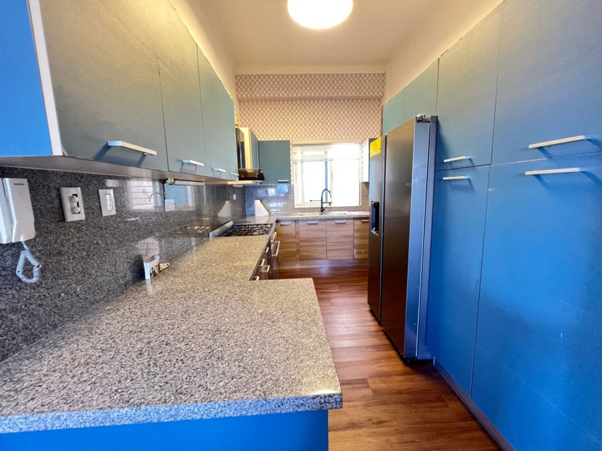 Apartamento en alquiler en La Julia, linea blanca – foto 5