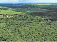 Terreno en venta en Guerra Centro, San Antonio de Guerra – foto 4