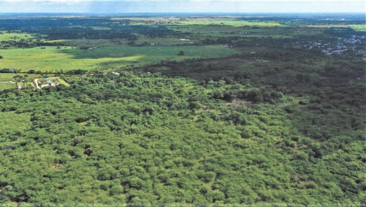 Terreno En Guerra Centro, San Antonio De Guerra – foto 4