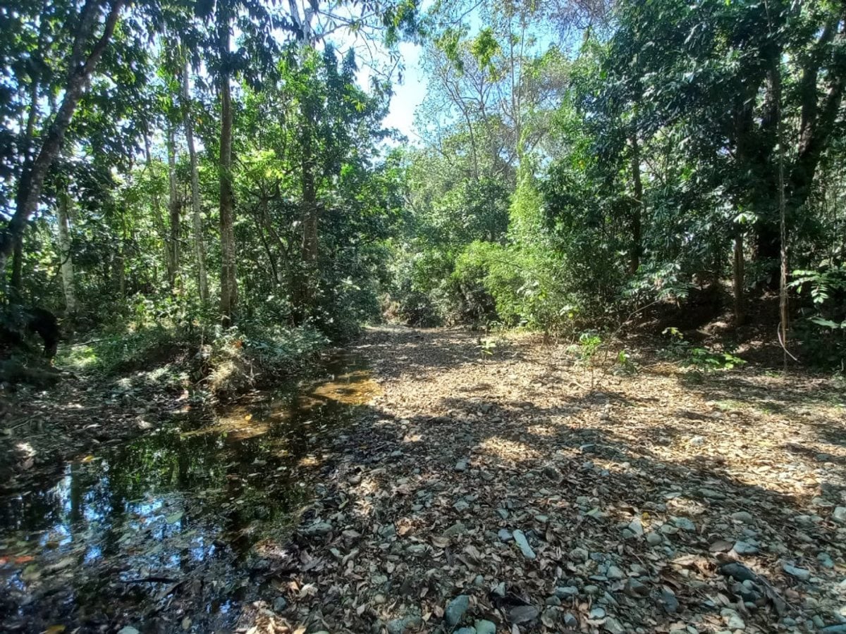 Terreno En Arroyo Mosquito, San Cristóbal – foto 4