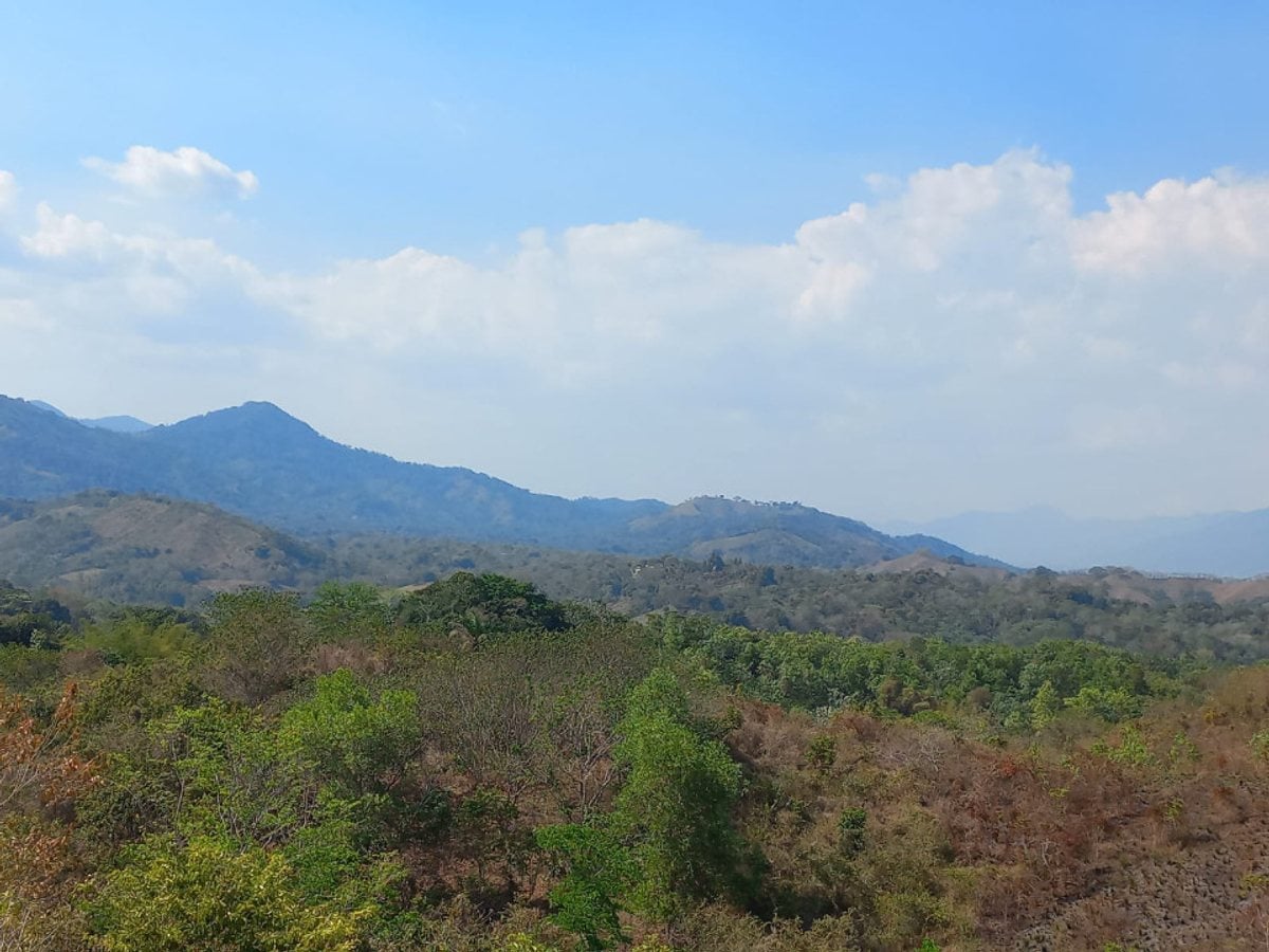 Terreno En Arroyo Mosquito, San Cristóbal – foto 3