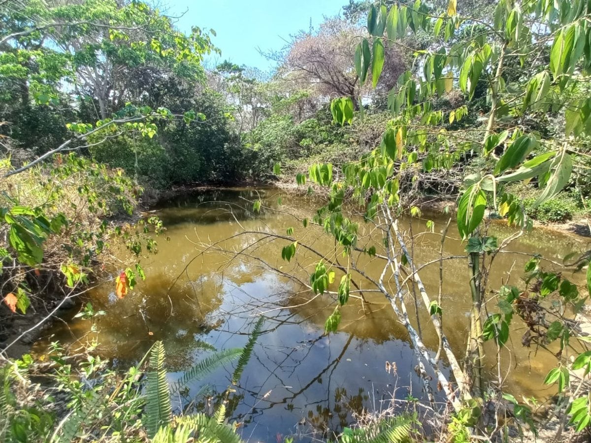 Terreno En Arroyo Mosquito, San Cristóbal – foto 5