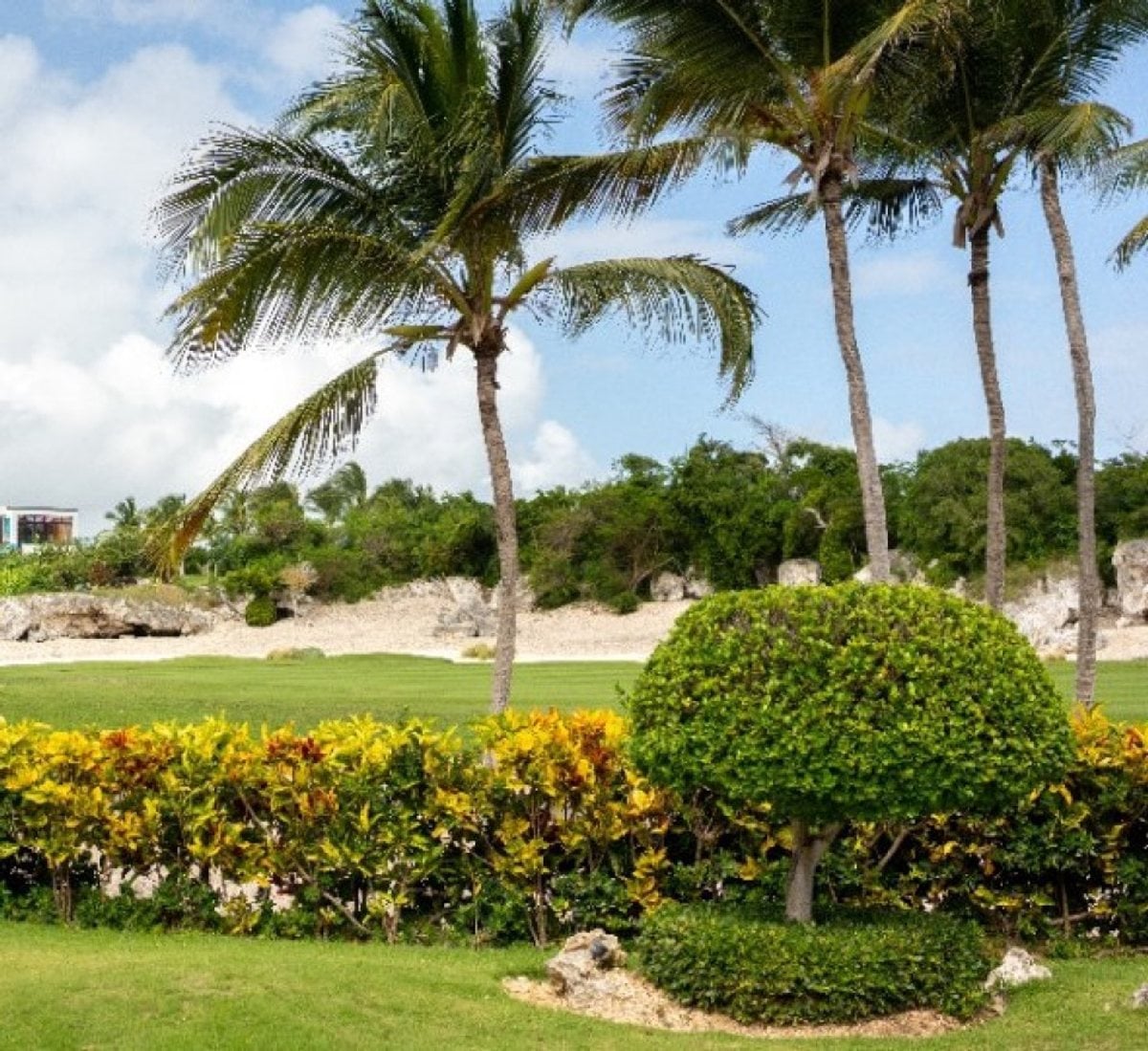 Casa en Las Iguanas, Cap Cana – foto 2