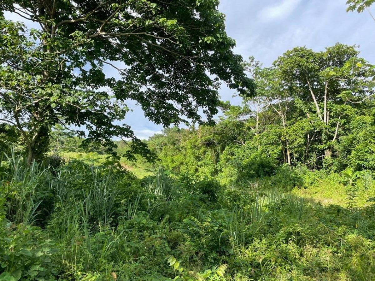 Terreno en venta en Villa Altagracia, San Cristóbal – foto 2