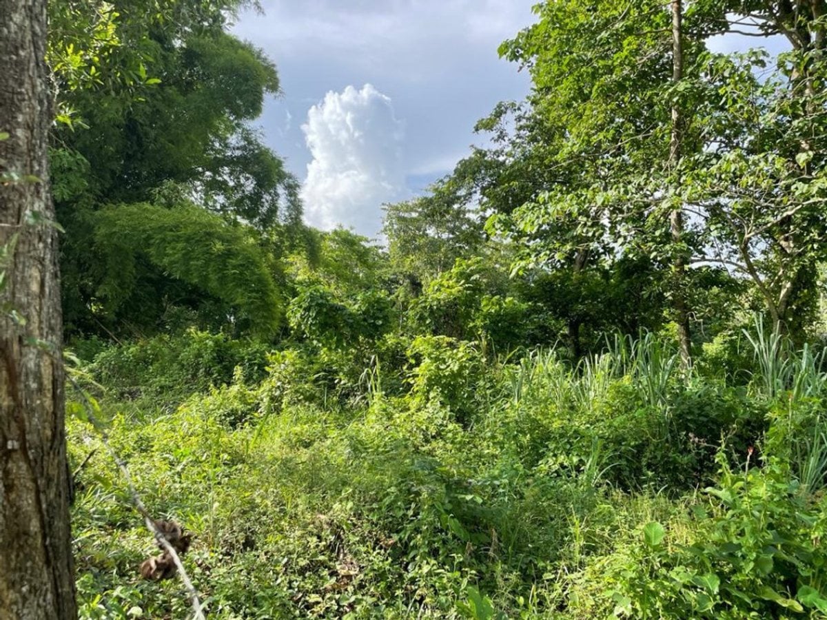 Terreno en venta en Villa Altagracia, San Cristóbal – foto 3
