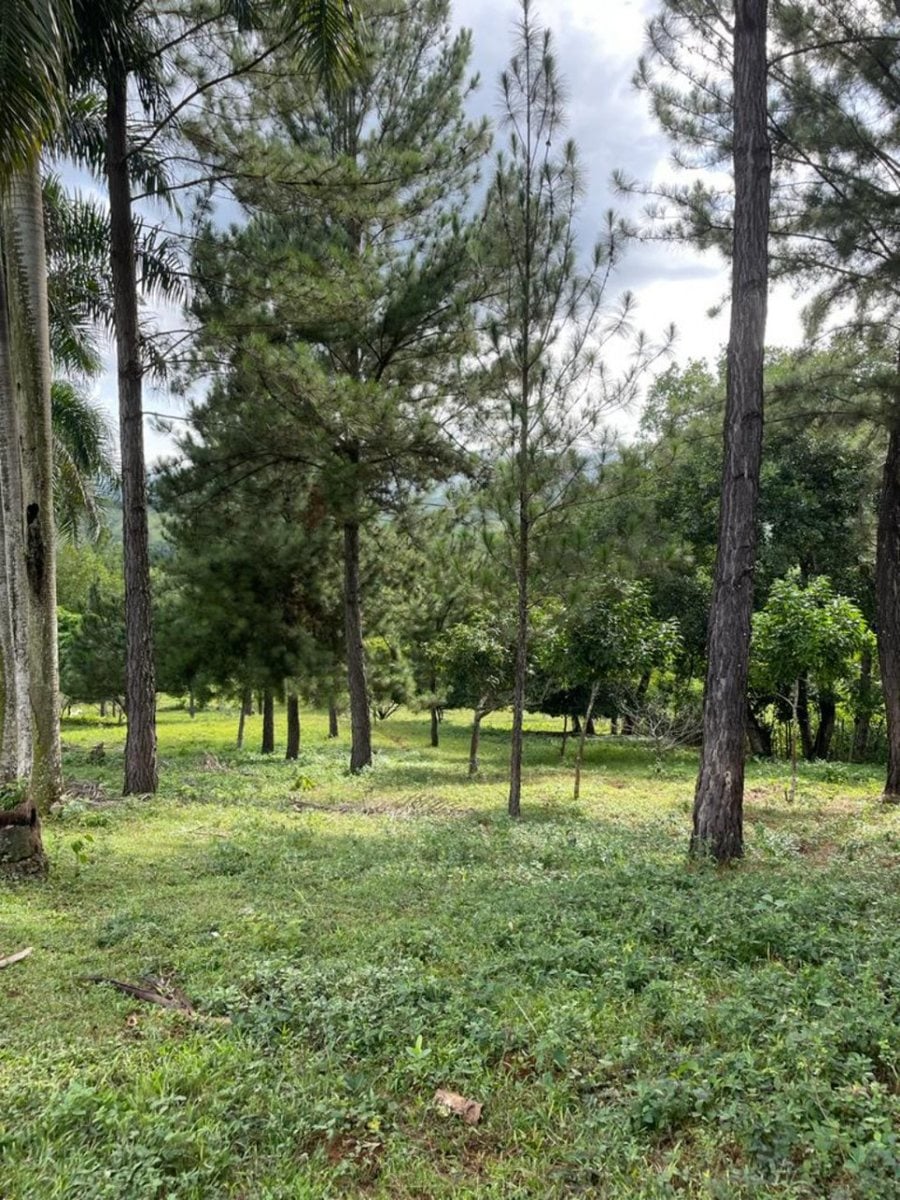 Terreno en venta en Villa Altagracia, San Cristóbal – foto 1