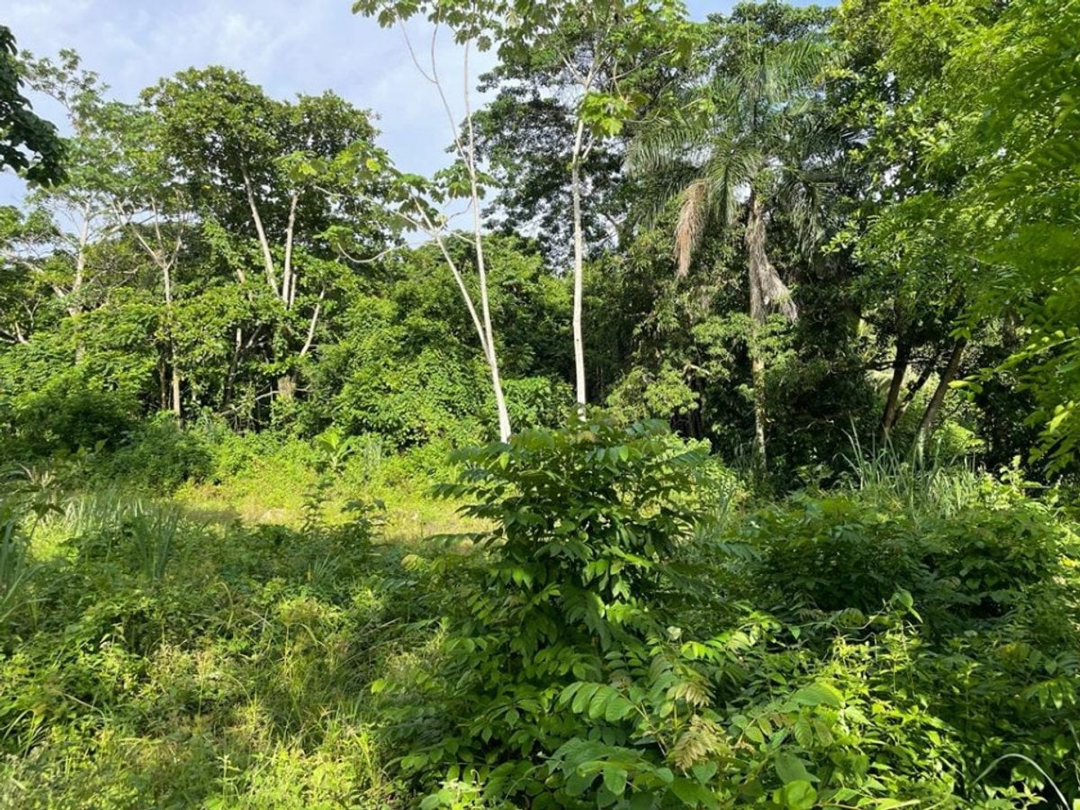 Terreno en venta en Villa Altagracia, San Cristóbal – foto 4