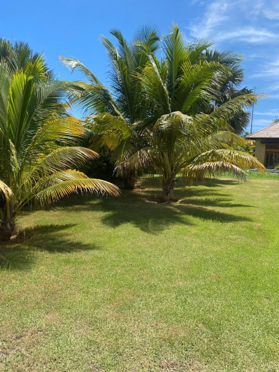 Casa En Cap Cana, Punta Cana – foto 6