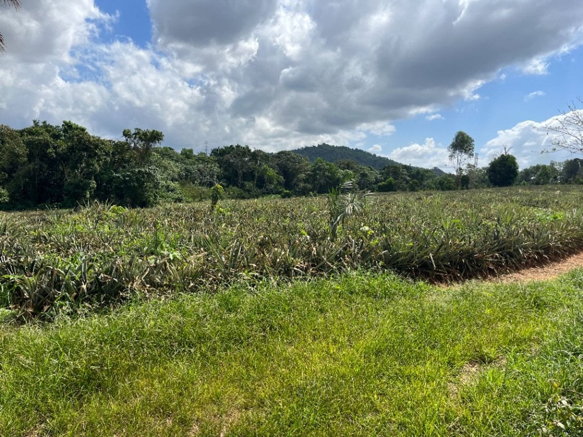 Terreno amplio en Zambrana Arriba, Cotuí – foto 4